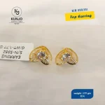 Earrings 031