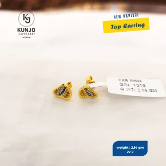 Earrings 034