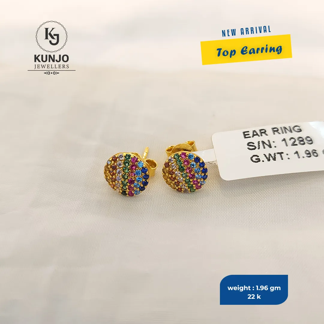 Earrings 035