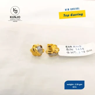 Earrings 037