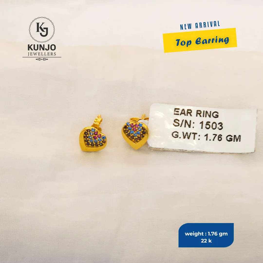 Earrings 038