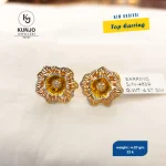Earrings 041
