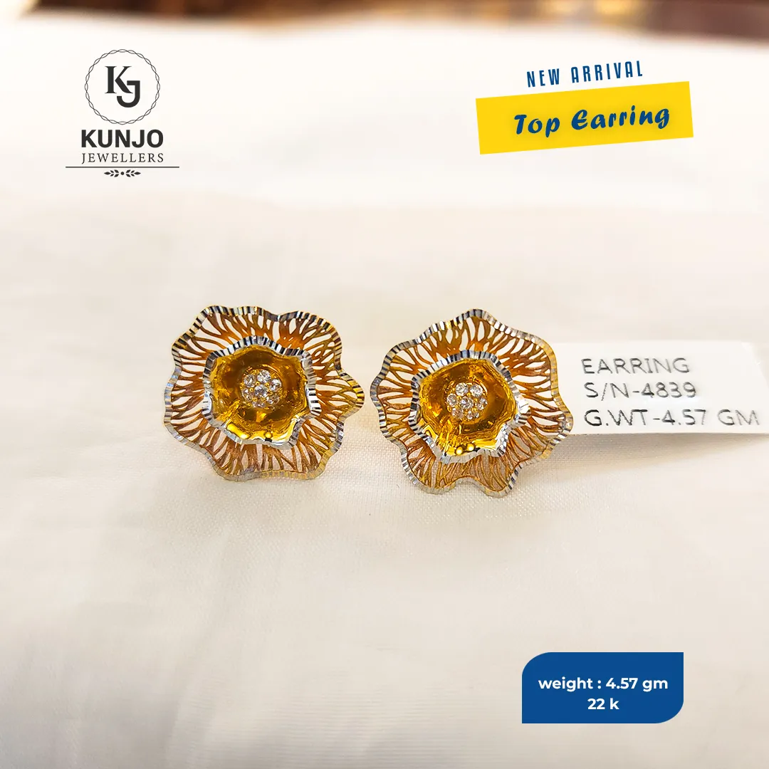 Earrings 041