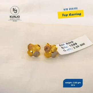 Earrings 042