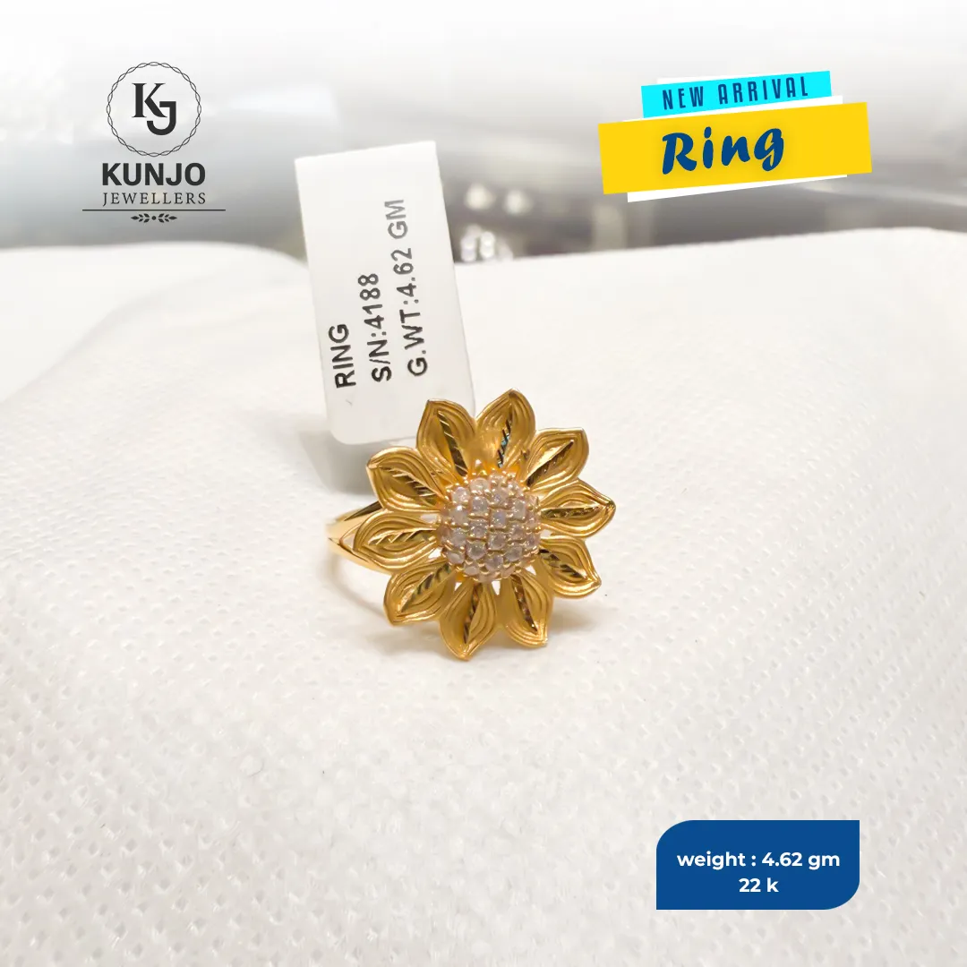 Ring 031
