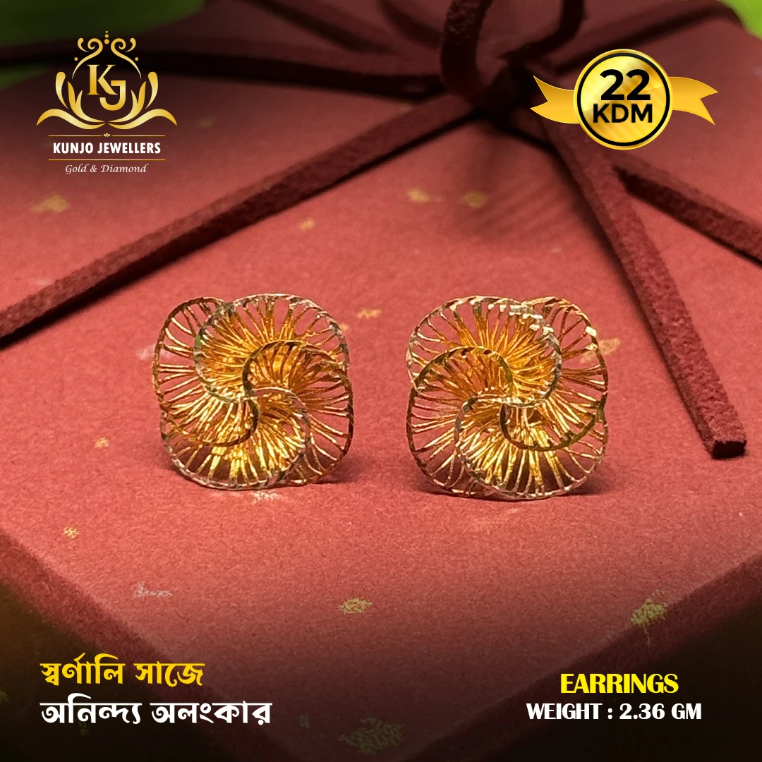 Earrings 063