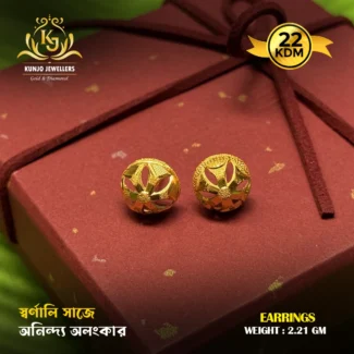 Earrings 064