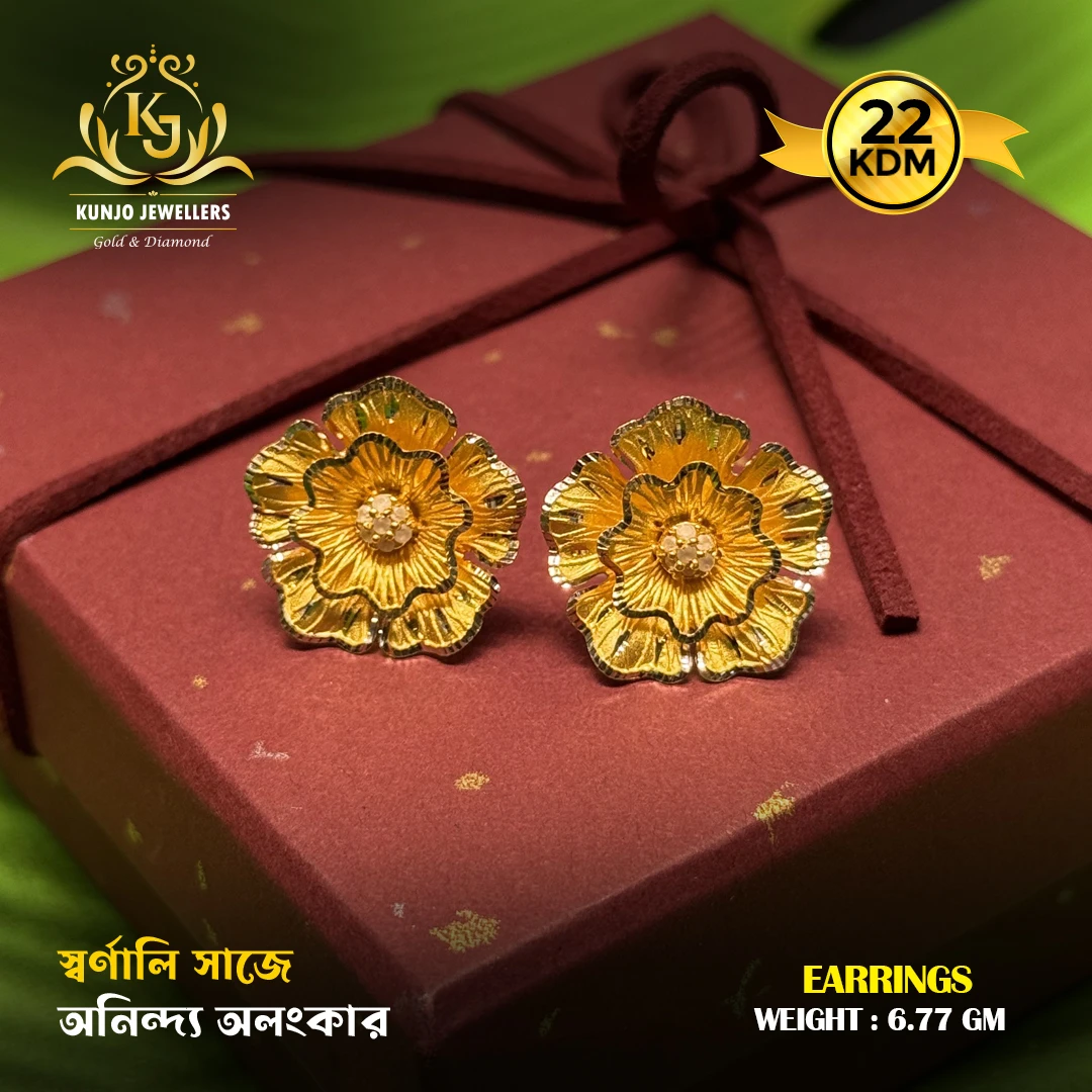 Earrings 067 Earrings 067