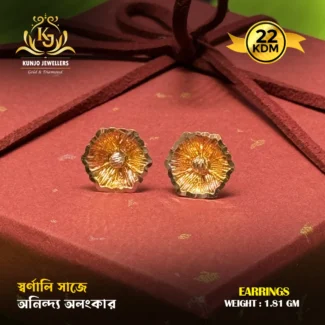 Earrings 068