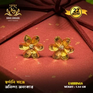 Earrings 069