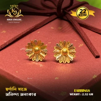 Earrings 071